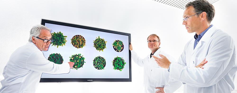 3 znanstveniki se pogovarjajo o zdravilnih rastlinah, ki so prikazane na ekranu